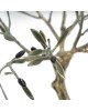 PANDORA ARTSHOP BRONZE OLIVE TREE 23x20cm.