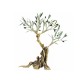 PANDORA ARTSHOP BRONZE CENTURY OLIVE TREE 23x21cm