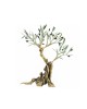 PANDORA ARTSHOP BRONZE OLIVE TREE 23x20cm.