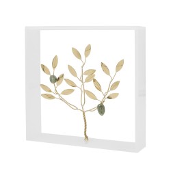 Ελιά από ορείχαλκο σε τετράγωνο πλαίσιο από διάφανο ακρυλικό 18x18x4cm