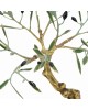 Αιωνόβια ελιά γλυπτό από μπρούντζο 18x17cm.